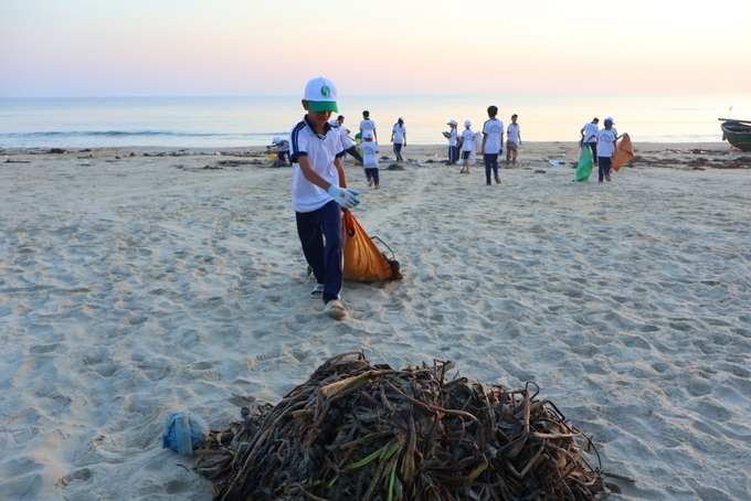 Young volunteers join Quang Nam beach cleanup - 3