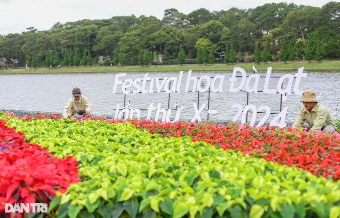 29-seat buses banned around Dalat lake during flower festival - 1