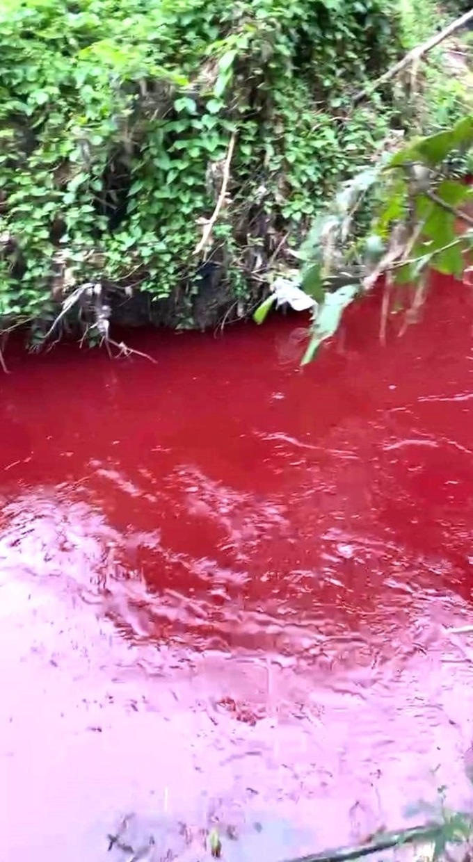 Binh Phuoc stream mysteriously turns blood-red - 1