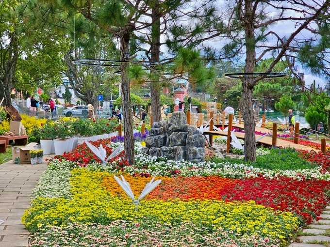 Dalat streets burst with colour ahead of flower festival - 4