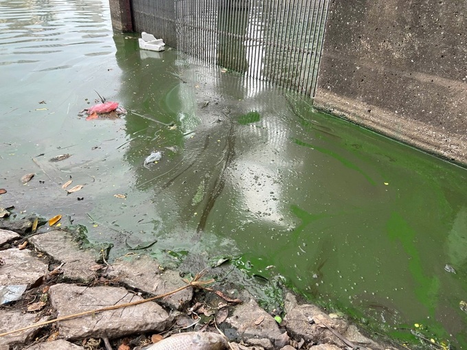 Hanoi lakes battle severe pollution - 7