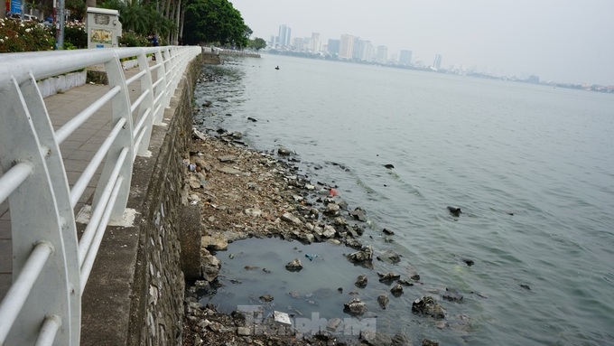 Hanoi lakes battle severe pollution - 6