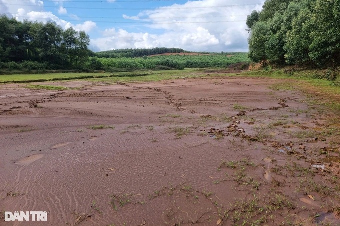 Mud slide from expressway projects hit Quang Tri fields - 1