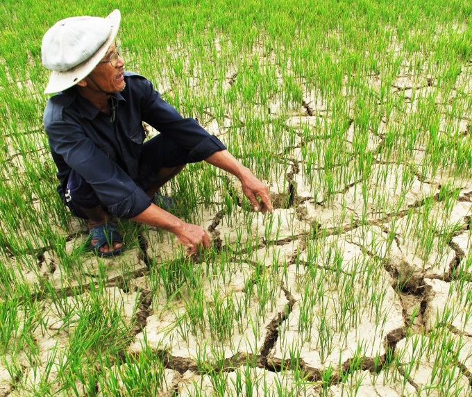 Mekong Delta faces increased saltwater intrusion in 2024-25 dry season - 1