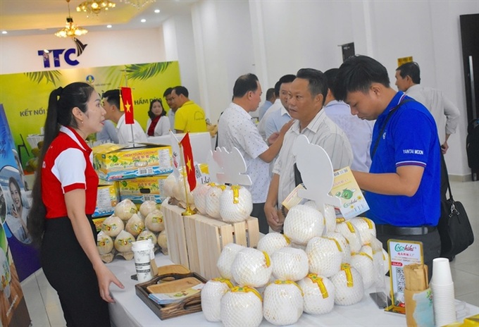 Vietnam promotes coconut exports, enhances industry value - 1