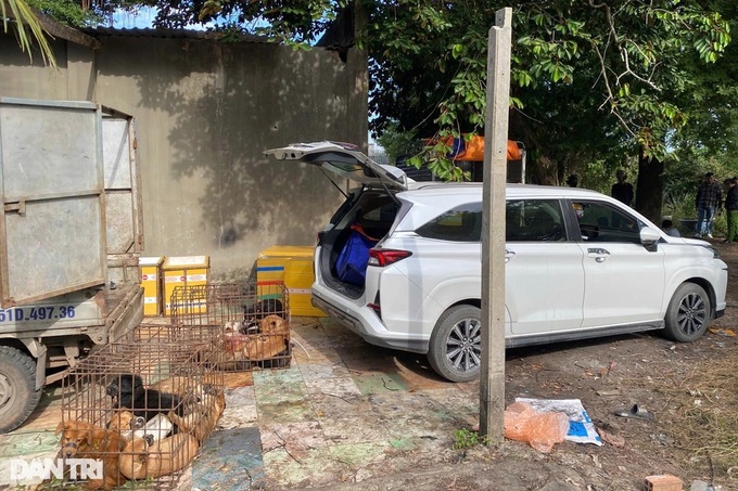 Gang stealing dozens of dogs per night in Tay Ninh busted - 2
