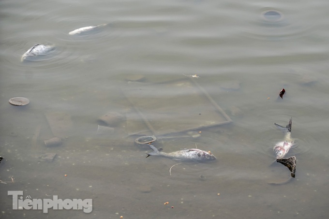 Hanoi lake reveals huge waste in dry season - 5