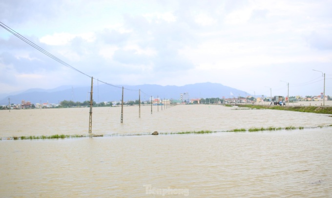 Prolonged rains flood Binh Dinh fields - 2