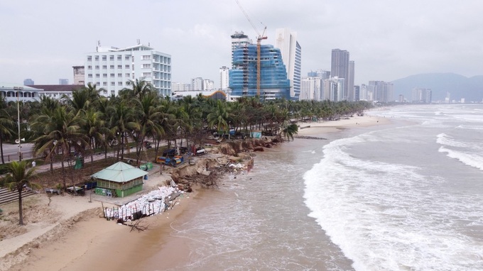 Severe coastal erosion ravages Danang beachfront - 1 Severe coastal erosion ravages Danang beachfront - 1
