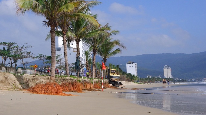 Severe coastal erosion ravages Danang beachfront - 7 Severe coastal erosion ravages Danang beachfront - 7
