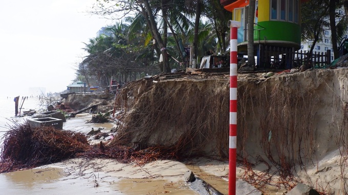 Severe coastal erosion ravages Danang beachfront - 4 Severe coastal erosion ravages Danang beachfront - 4