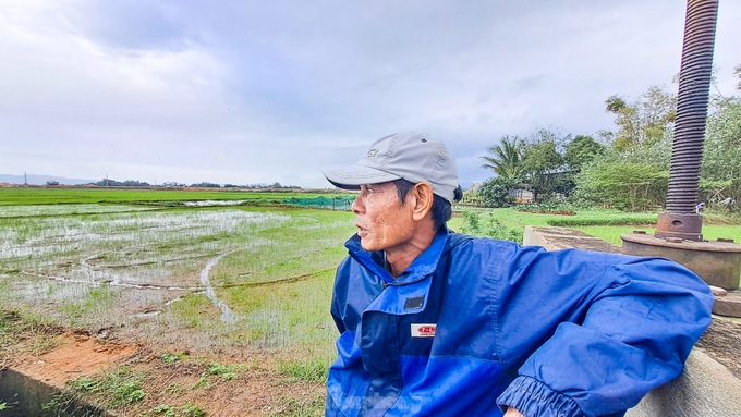 Prolonged rains flood Binh Dinh fields - 5