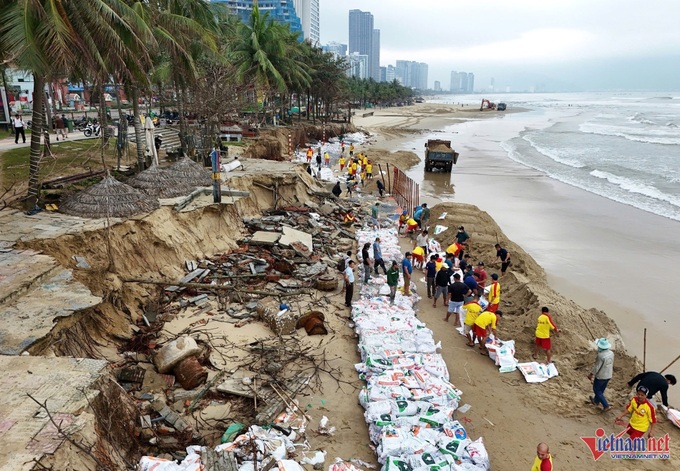 Erosion-hit beach in Danang reinforced - 1