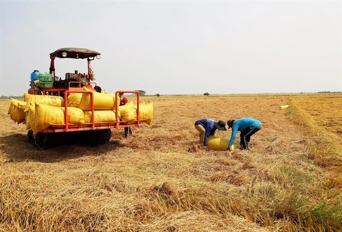 Eight rice enterprises awarded for emissions reduction - 1 Eight rice enterprises awarded for emissions reduction - 1