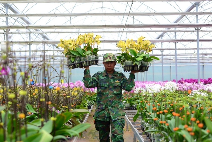 Flower villages in Lam Dong gear up for Tet - 7