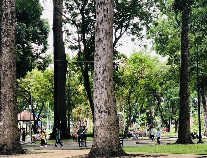 HCM City strives to have one square metre of green space per capita by 2030 - 1