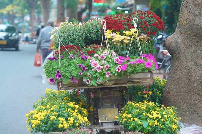 Hanoi’s largest bonsai street bustling ahead of Tet - 9