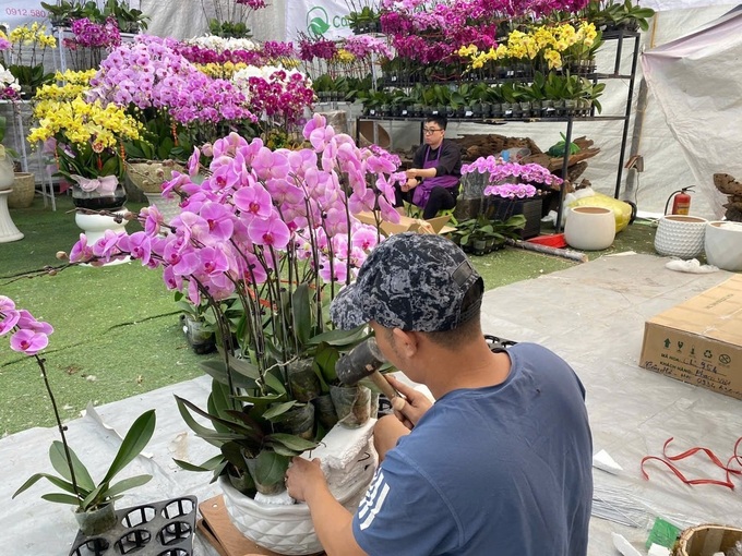 Hanoi’s largest bonsai street bustling ahead of Tet - 5