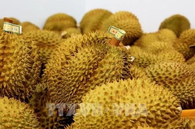 Vietnam emerges as global durian powerhouse - 1