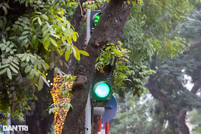 Hanoi traffic signage almost covered - 6