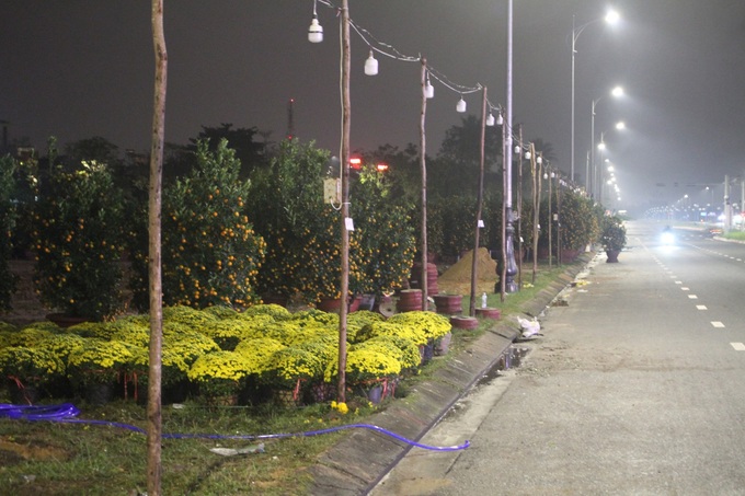 Traders up all night to sell Tet flowers - 8