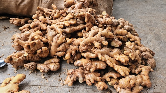 Hue Ginger Candy Village busy before Tet - 2