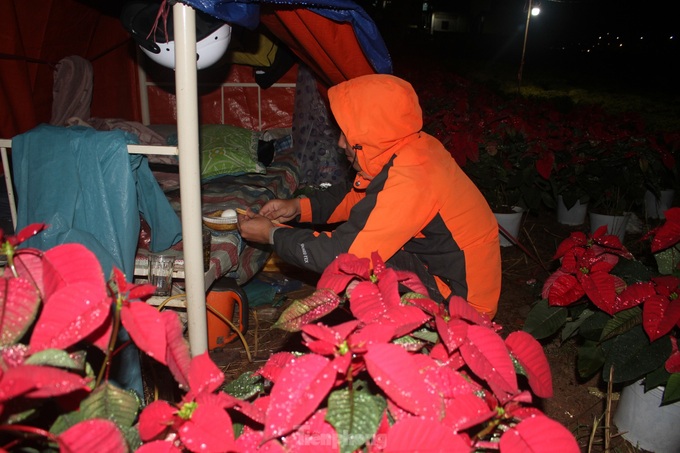 Traders up all night to sell Tet flowers - 4