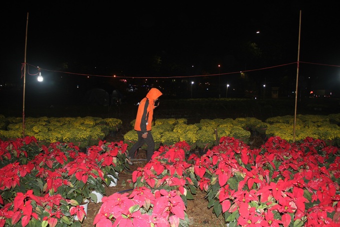 Traders up all night to sell Tet flowers - 5