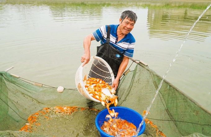 Red carp hub in Thanh Hoa prepares for Kitchen Gods’ Day - 1