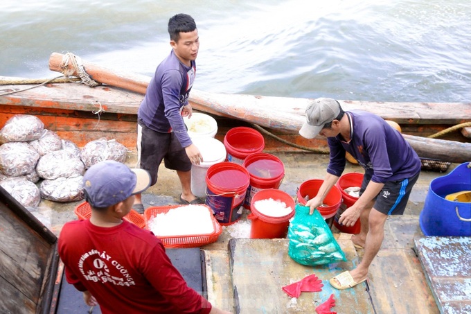 Fishermen have bumper catches ahead of Tet - 7