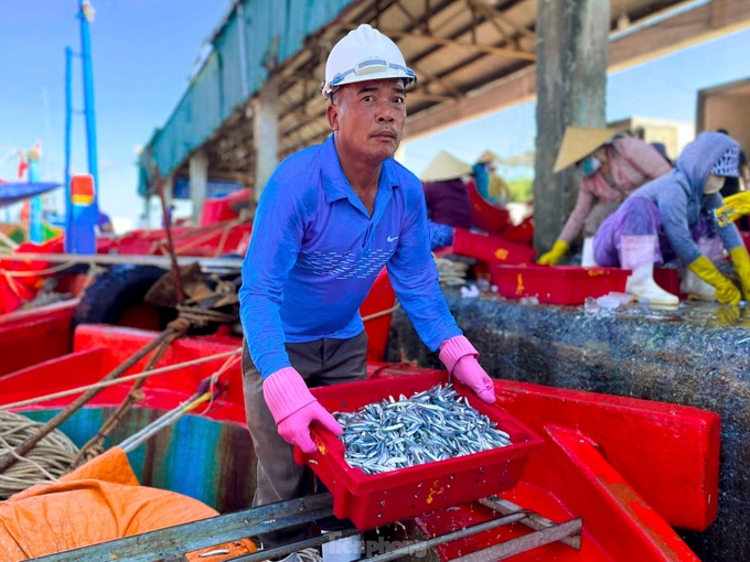 Fishermen have bumper catches ahead of Tet - 3