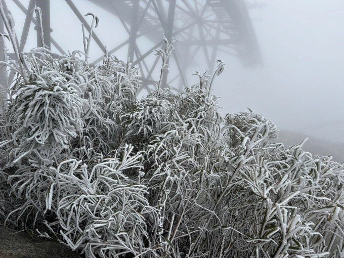 New severe cold spell hits northern region - 1