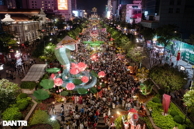 Nguyen Hue Flower Street captivates visitors - 1