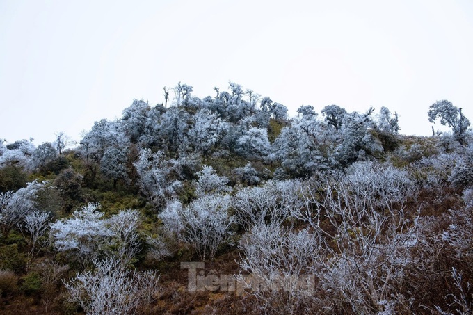 Frost blankets Mu Cang Chai mountains - 2