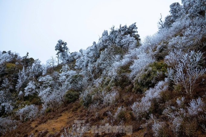 Frost blankets Mu Cang Chai mountains - 7