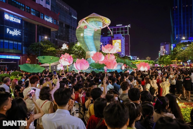 Nguyen Hue Flower Street captivates visitors - 5