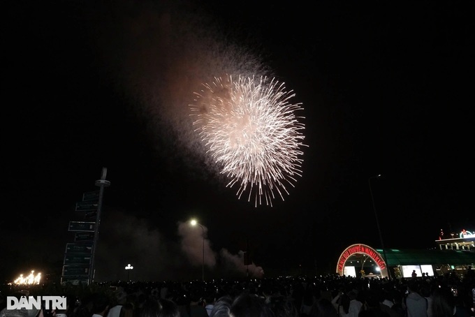 Fireworks light up skies to welcome 2025 Lunar New Year - 7