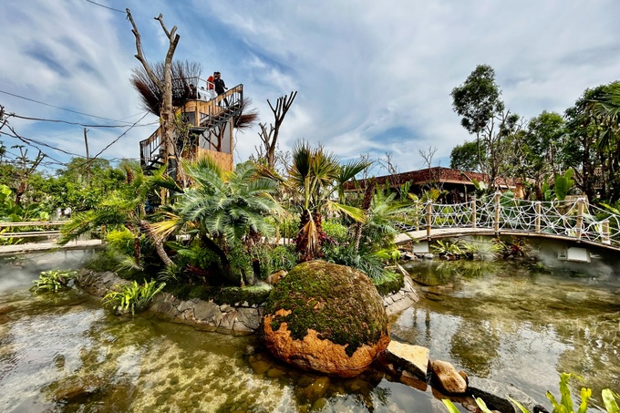 Forest-inspired café in HCM City attracts customers - 2