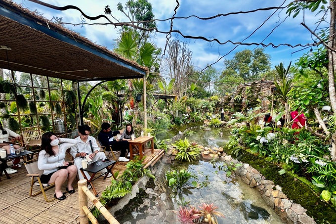 Forest-inspired café in HCM City attracts customers - 9