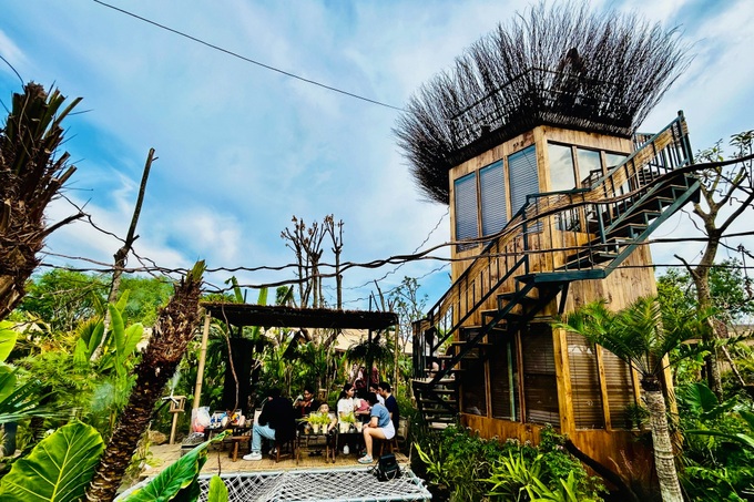 Forest-inspired café in HCM City attracts customers - 3