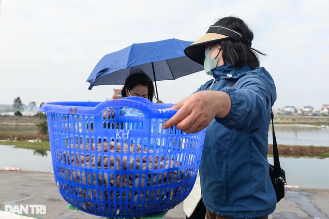 Nam Dinh fishermen enjoy big catches on first lunar year trips - 7