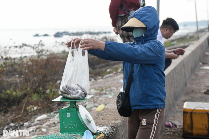 Nam Dinh fishermen enjoy big catches on first lunar year trips - 5