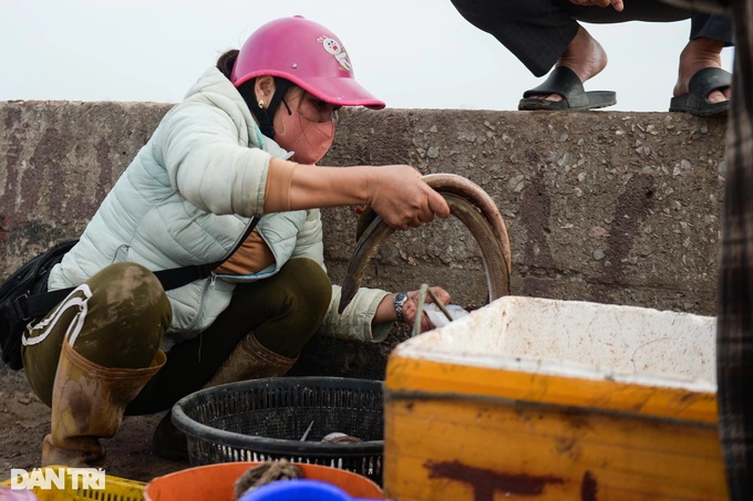 Nam Dinh fishermen enjoy big catches on first lunar year trips - 4