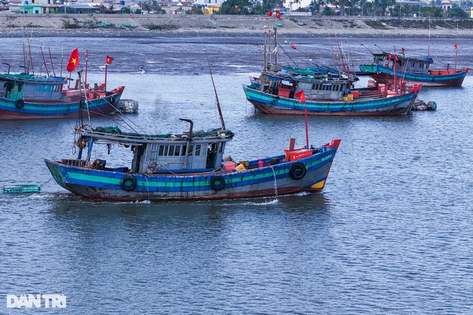 Nam Dinh fishermen enjoy big catches on first lunar year trips - 8