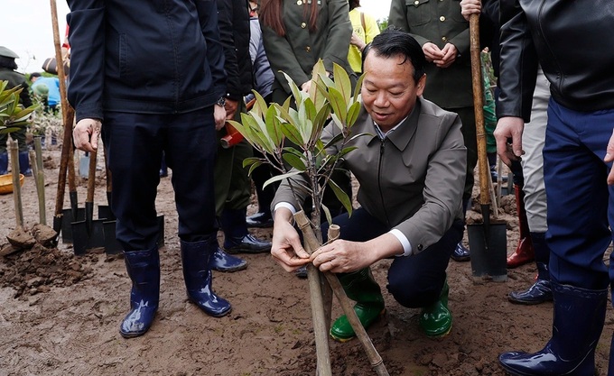 10,000 trees granted to Thai Binh Province - 2