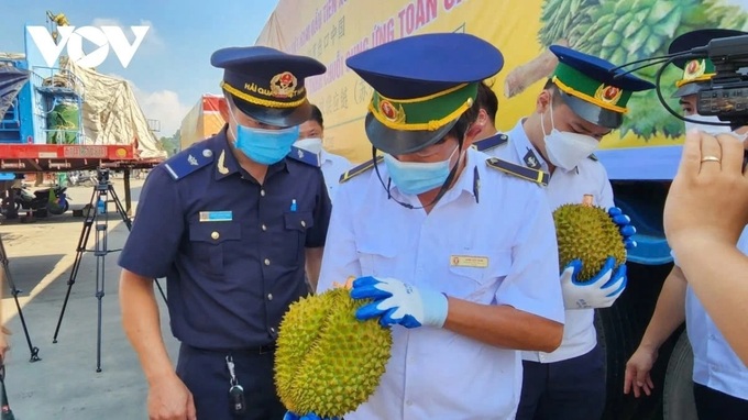 Durian exports to China resume via Lang Son border gates - 1