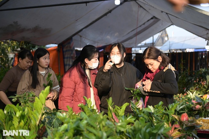 Thousands gather at Nam Dinh lucky market - 2