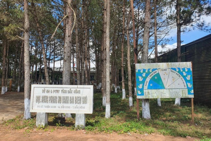 Hundreds of trees destroyed in Dak Nong protective forest - 2