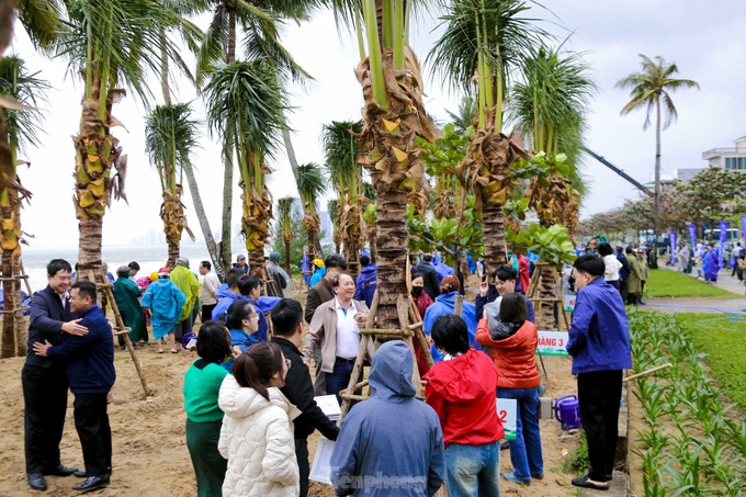 Hundreds of people plant trees on Danang’s coastal road - 5