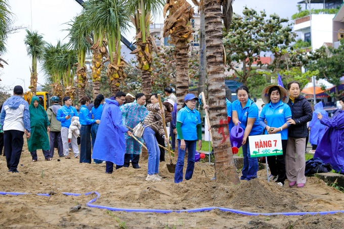 Hundreds of people plant trees on Danang’s coastal road - 1